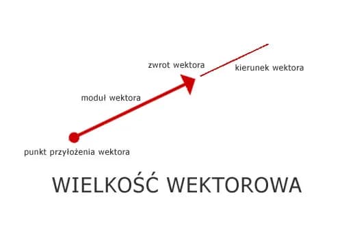 Co to jest wektor w fizyce? Zrozumienie kluczowych właściwości