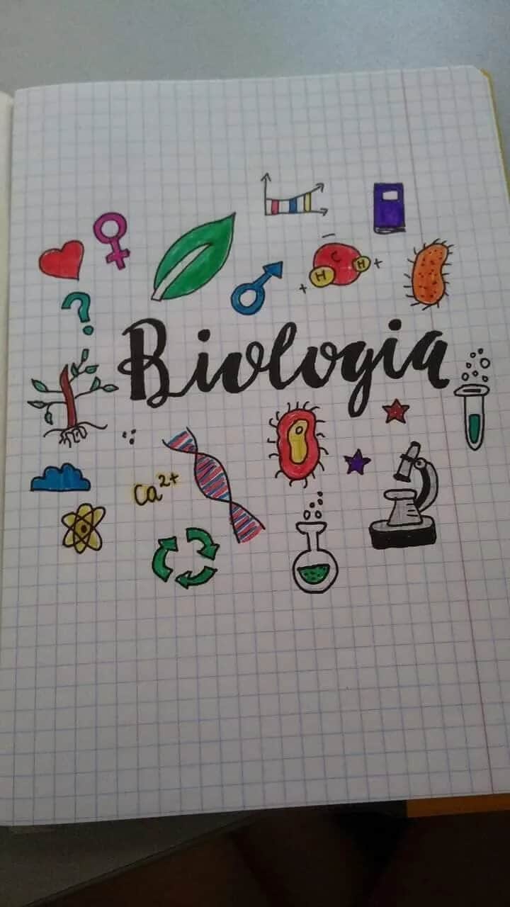 Jak ozdobić zeszyt do biologii – kreatywne pomysły na atrakcyjne notatki