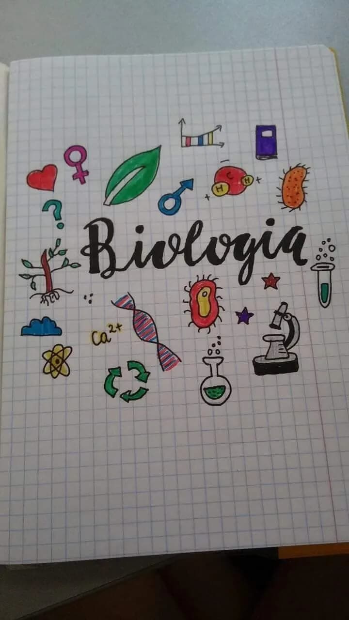 Jak ozdobić zeszyt do biologii – kreatywne pomysły na atrakcyjne notatki