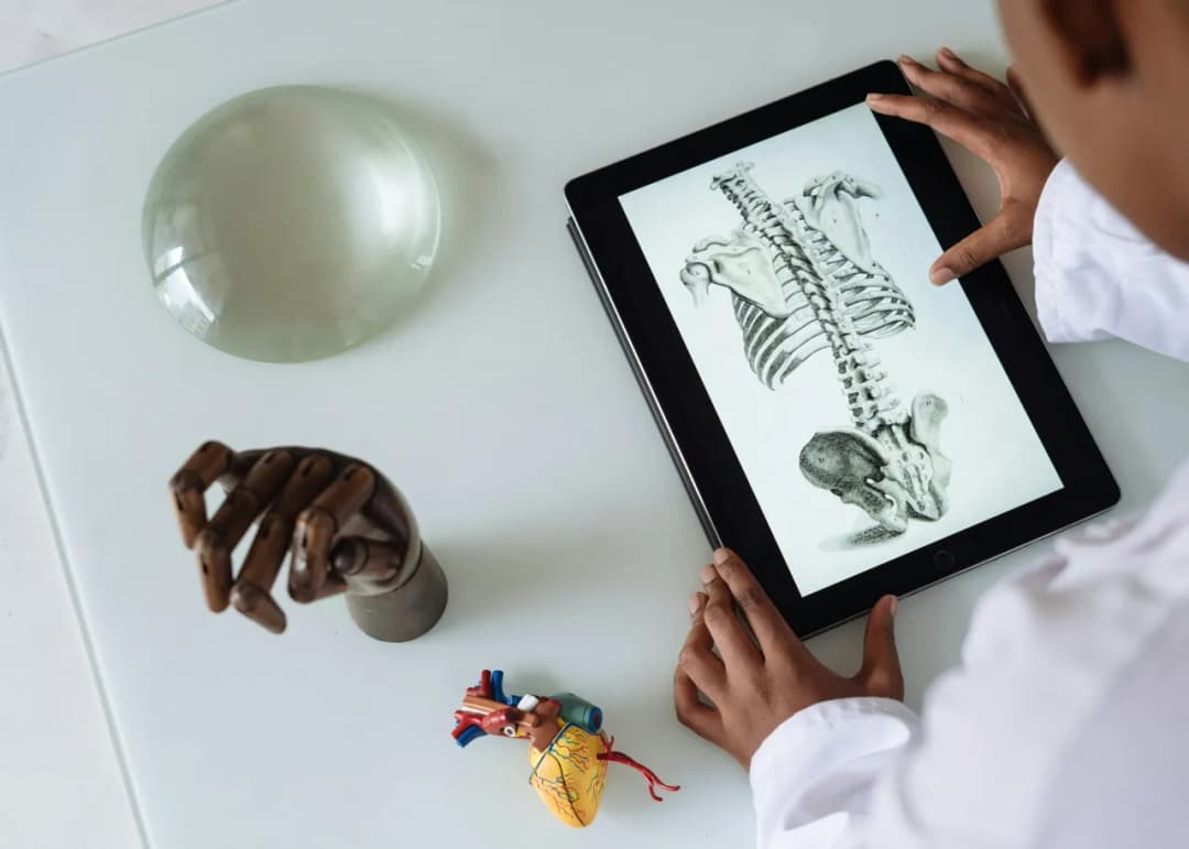 Jakie studia po rozszerzonej biologii? Odkryj najlepsze kierunki i możliwości