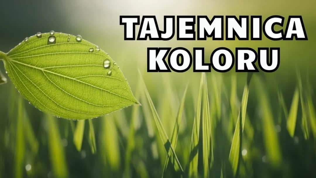 Dlaczego trawa jest zielona? Nauka o chlorofilu i fizyce światła