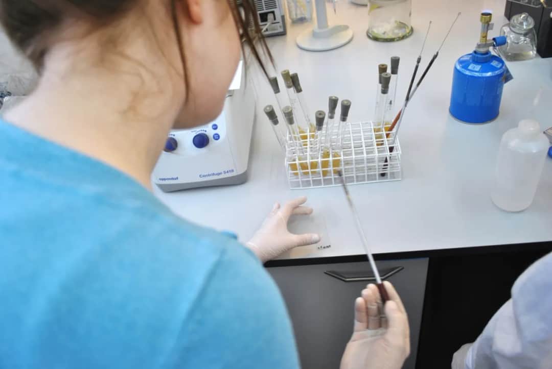 Biologia sądowa – czy warto studiować? Perspektywy, zarobki i wady kierunku