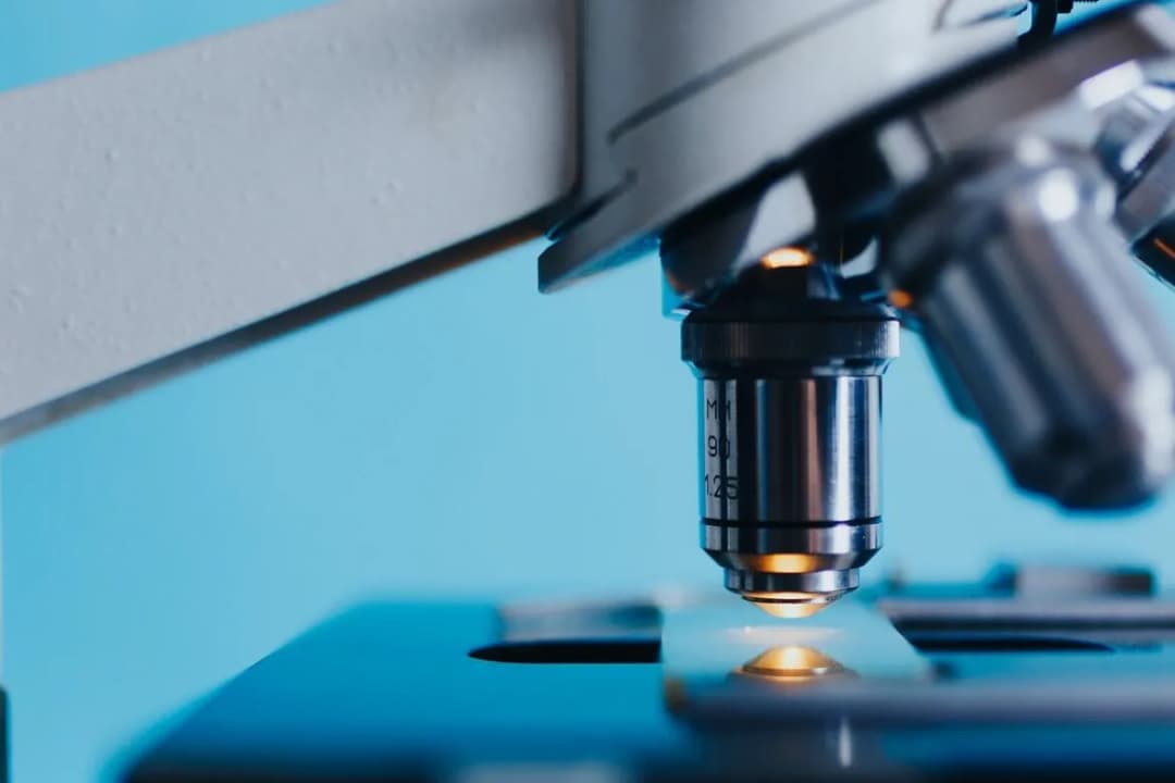 Co można studiować po biol-chem? Najlepsze kierunki i perspektywy zawodowe