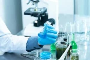 Jakie studia wybrać po biol-chem? Sprawdź najlepsze kierunki i perspektywy
