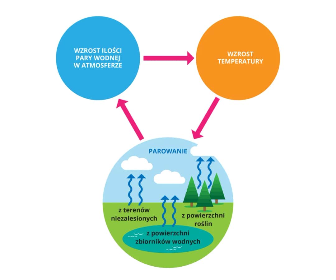 Na czym polega zjawisko efektu cieplarnianego i jakie ma konsekwencje