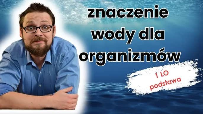 Znaczenie wody dla organizmów żywych w biologii – klucz do życia