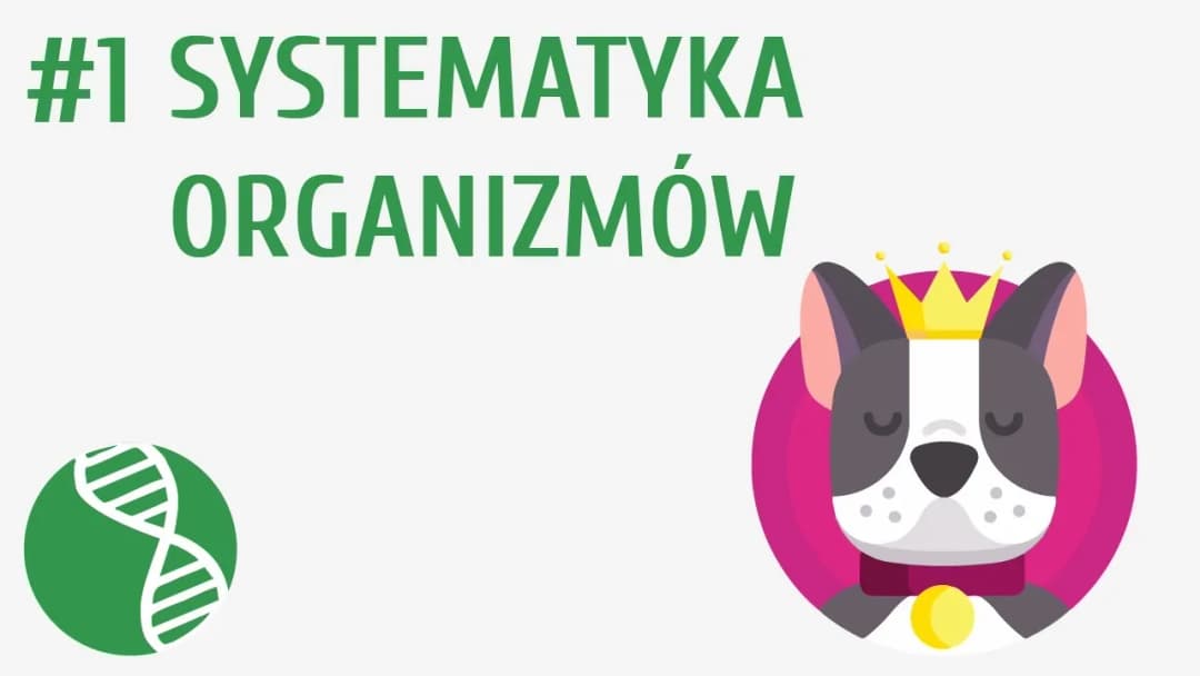 Co to jest systematyka w biologii i dlaczego jest tak ważna?