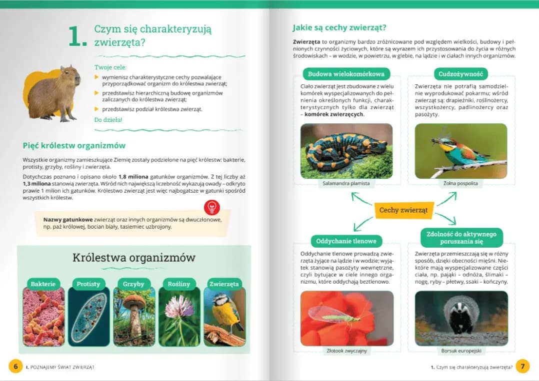 Czym zajmuje się biologia? Poznaj fascynujący świat życia i organizmów