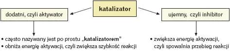 Co to jest katalizator w chemii i jak wpływa na reakcje? Proste wyjaśnienie