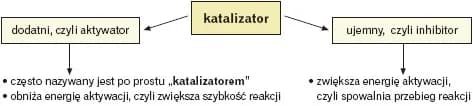 Co to jest katalizator w chemii i jak wpływa na reakcje? Proste wyjaśnienie