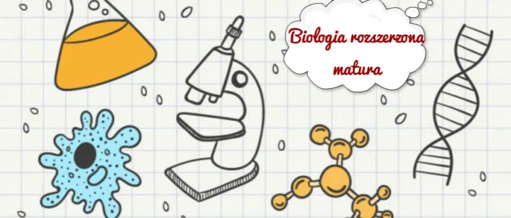 Czy rozszerzona biologia jest trudna? Fakty, porady i opinie dla maturzystów